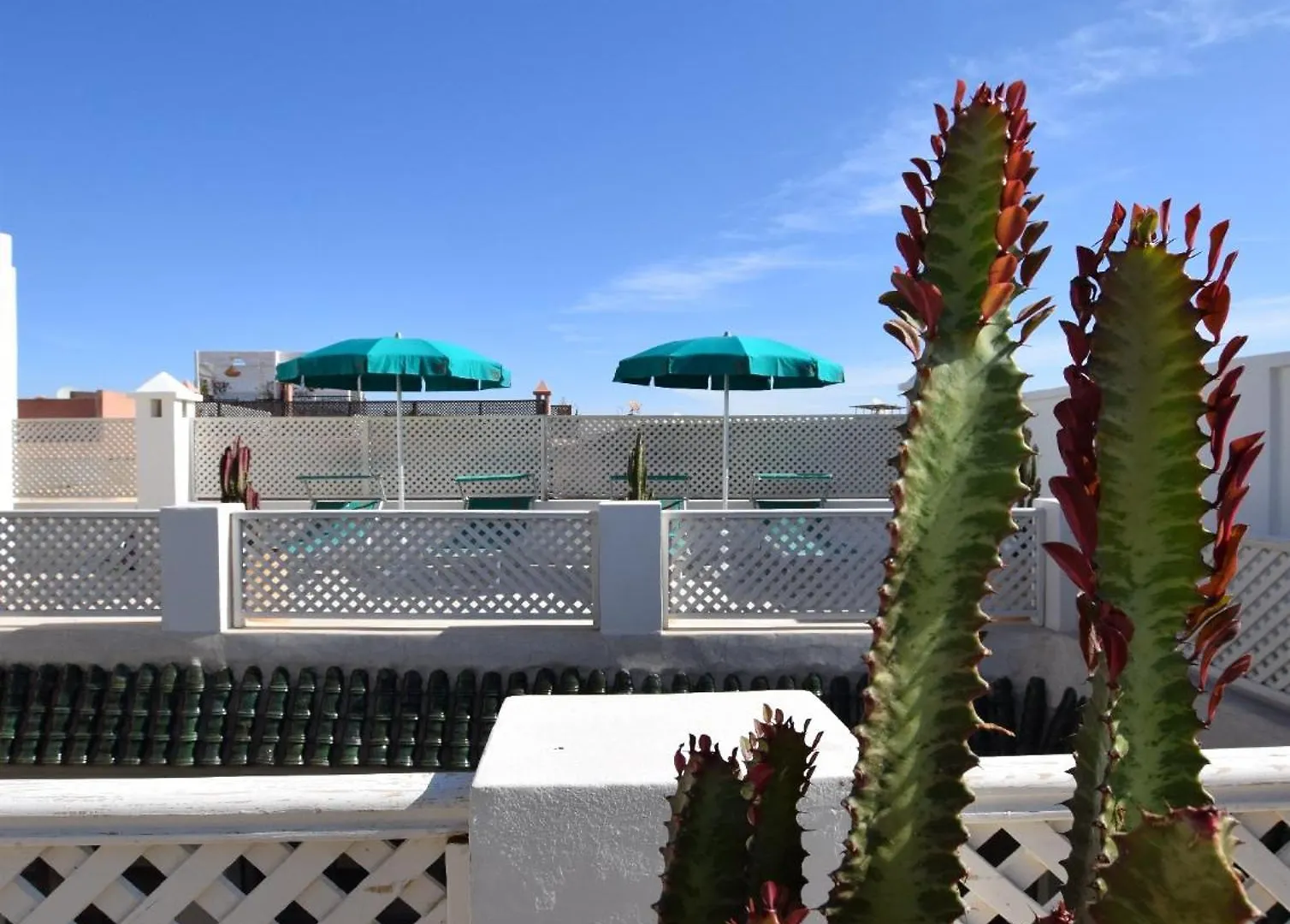 Miostello Lifestyle Riad Marrakech Marrakesh Maroc