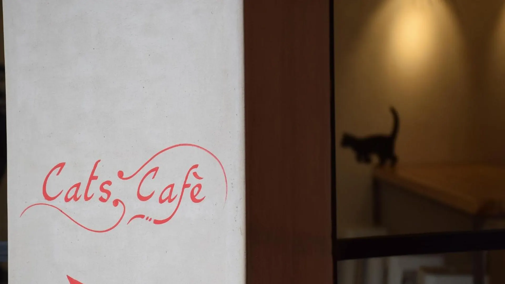 Miostello Lifestyle Riad Marrakech Marrakesh