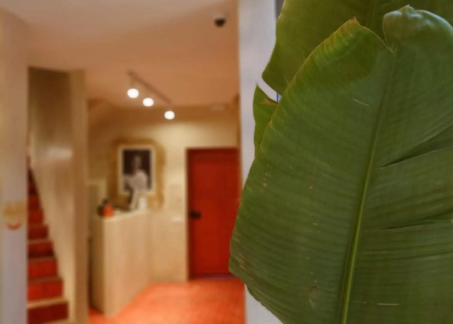 Miostello Lifestyle Riad Marrakech Marrakesh
